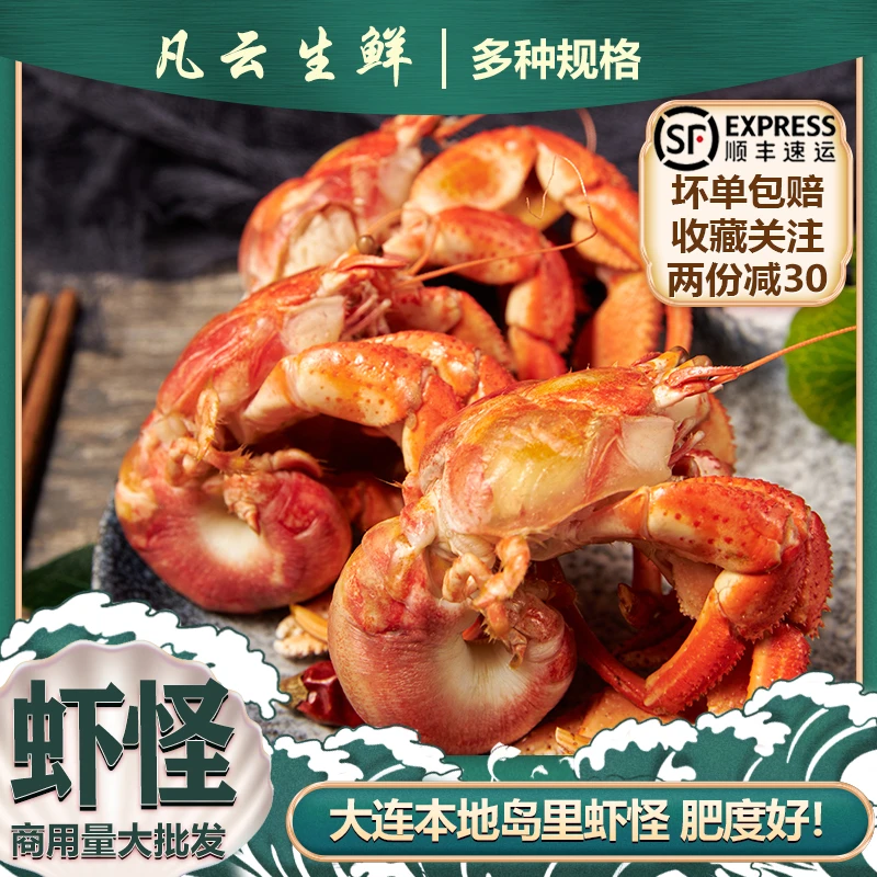 虾怪鲜活寄居蟹新鲜食用大号带壳活发海怪螃蟹活虾大连海鲜水产