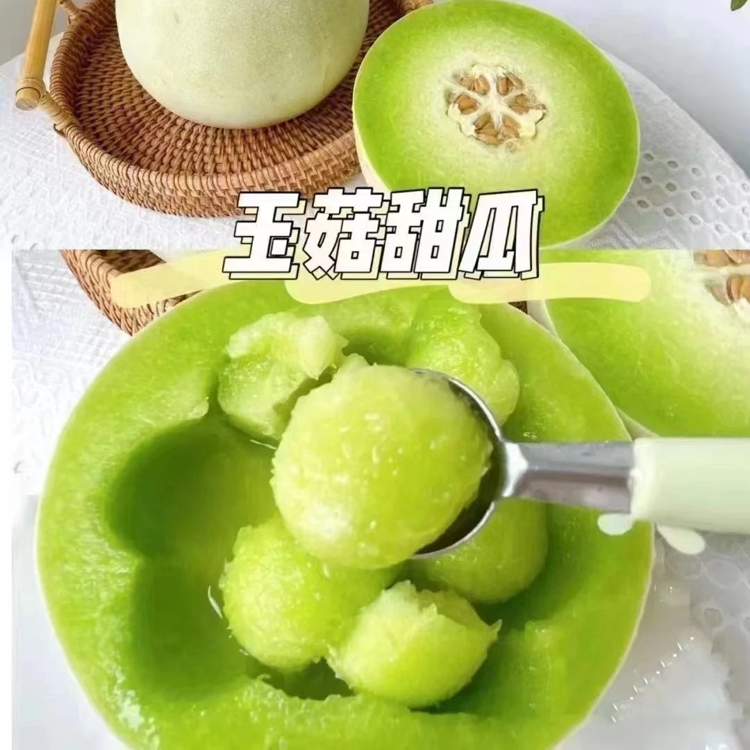 玉菇甜瓜一枚 2斤左右。奶香蜜 不切 、要切不切备注