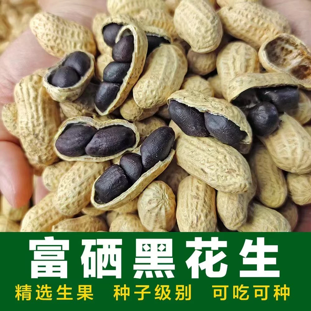 富硒黑花生农产品食用手工营养原味天然健康精选