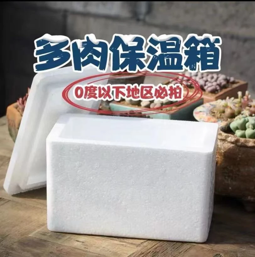 多肉保温箱  低温0°以下地区必拍       多肉满9.9包邮基地发货