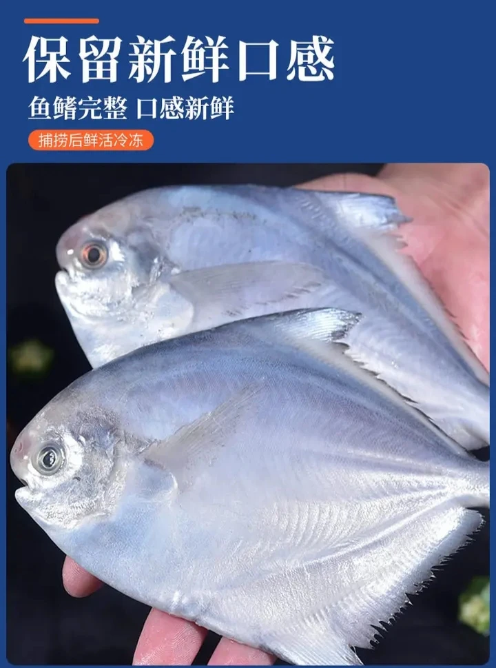 5斤银鲳鱼无冰衣冷冻鲜活速冻条条分离平鱼镜鱼新鲜肉质鲜美美味