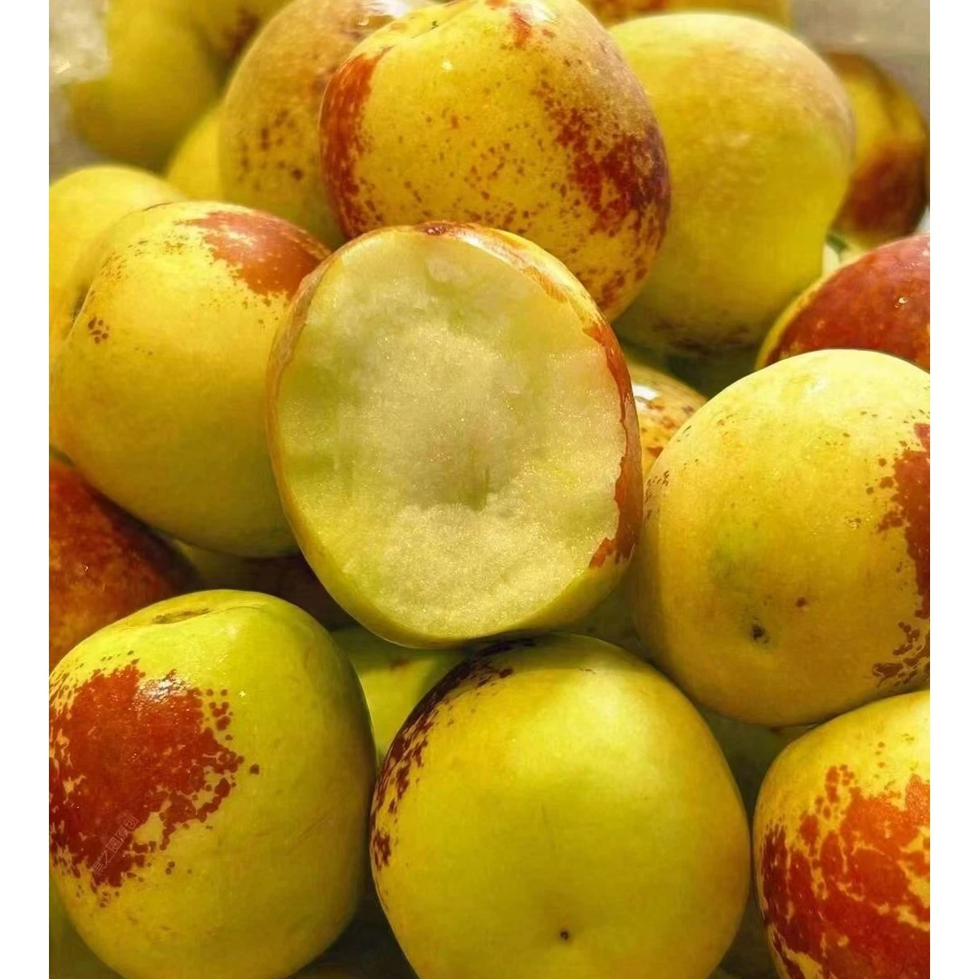 冰糖大冬枣500克