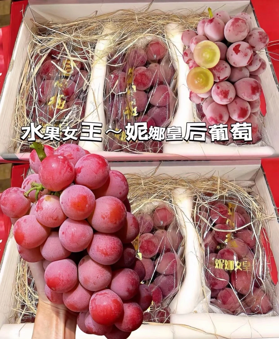 水果女王—妮娜皇后葡萄一份