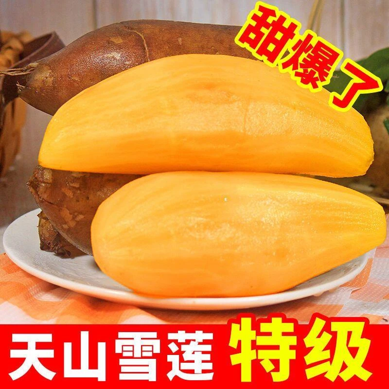 天山雪莲果新鲜大果10斤应当季水果特级红心云南雪连果整箱包邮10
