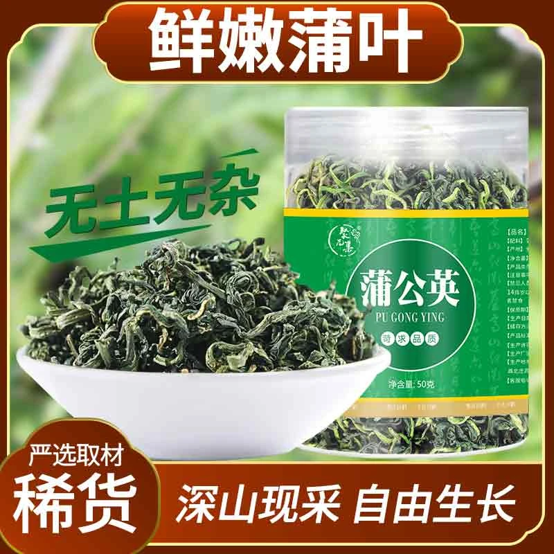 深山蒲公英茶正品茶叶泡水婆婆丁小叶蒲公英新鲜手工花草茶50g/罐