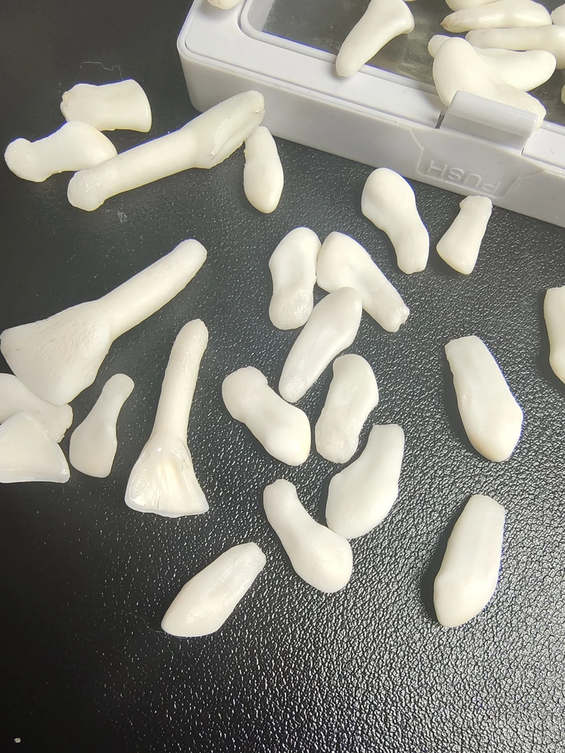 牙骨斋文玩 鹿牙卡子 拍下为一颗