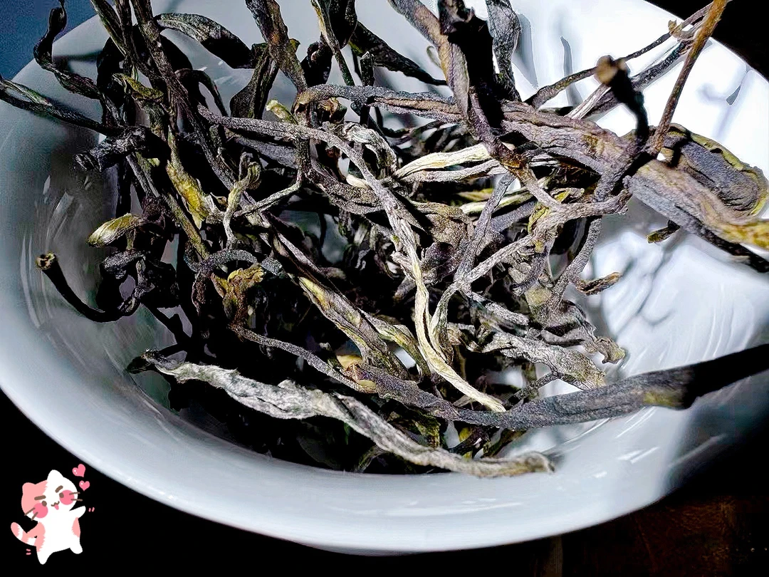 茶珺主【高端古树生茶品鉴茶样】易武倚邦高端微小产区纯料普洱茶