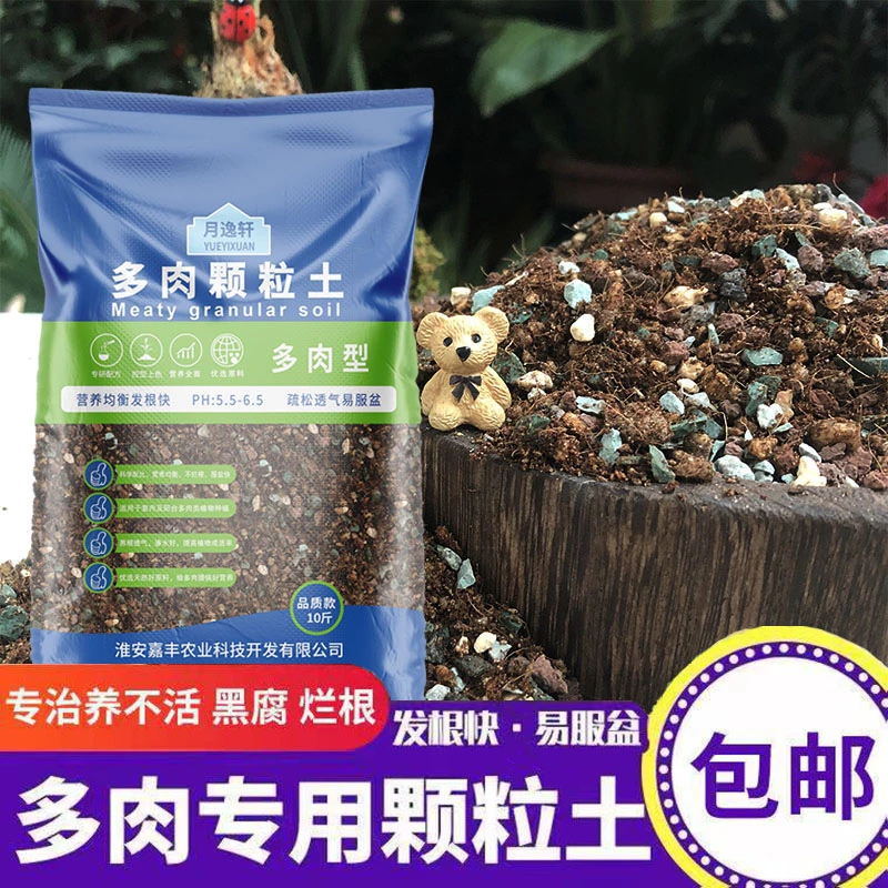 月逸轩园艺多肉颗粒土铺面垫底专用颗粒70%颗粒法师多肉通用土