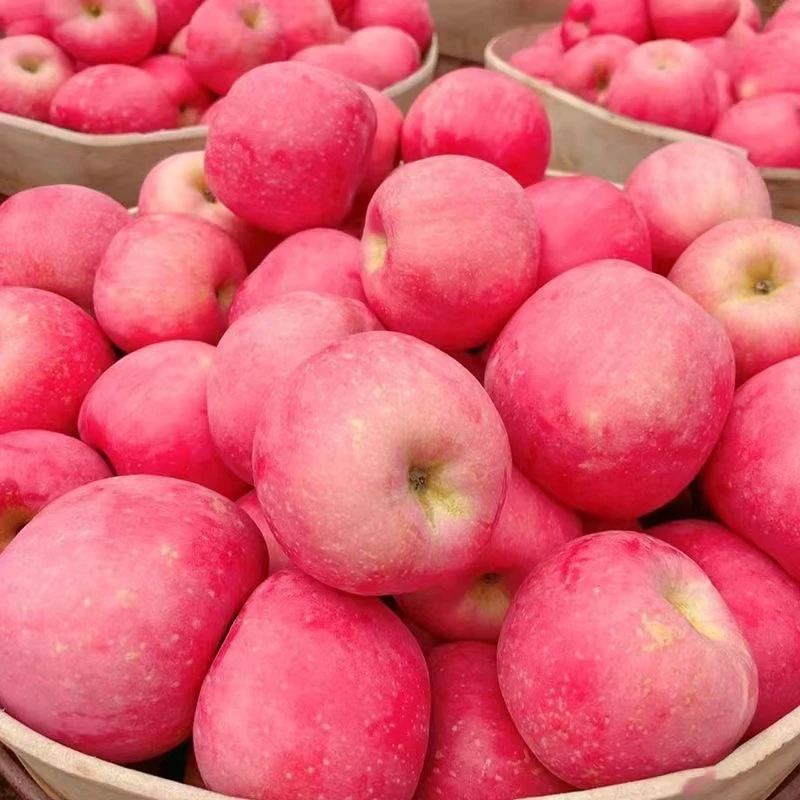 水果蔬菜 水果 红苹果