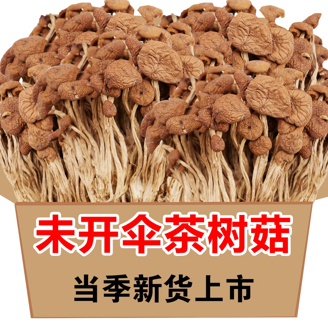 【超市品质】古田茶树菇农家新货香菇干货特产茶新菌菇虫草煲汤批发