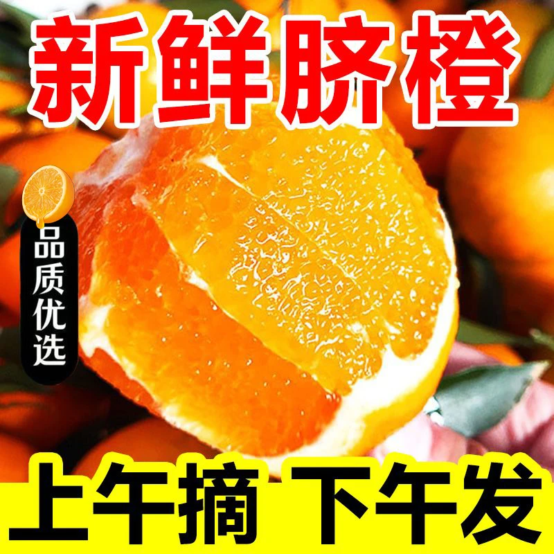新鲜甜橙子10斤整箱当季脐橙手剥橙非江西赣南时令水果脐橙3斤