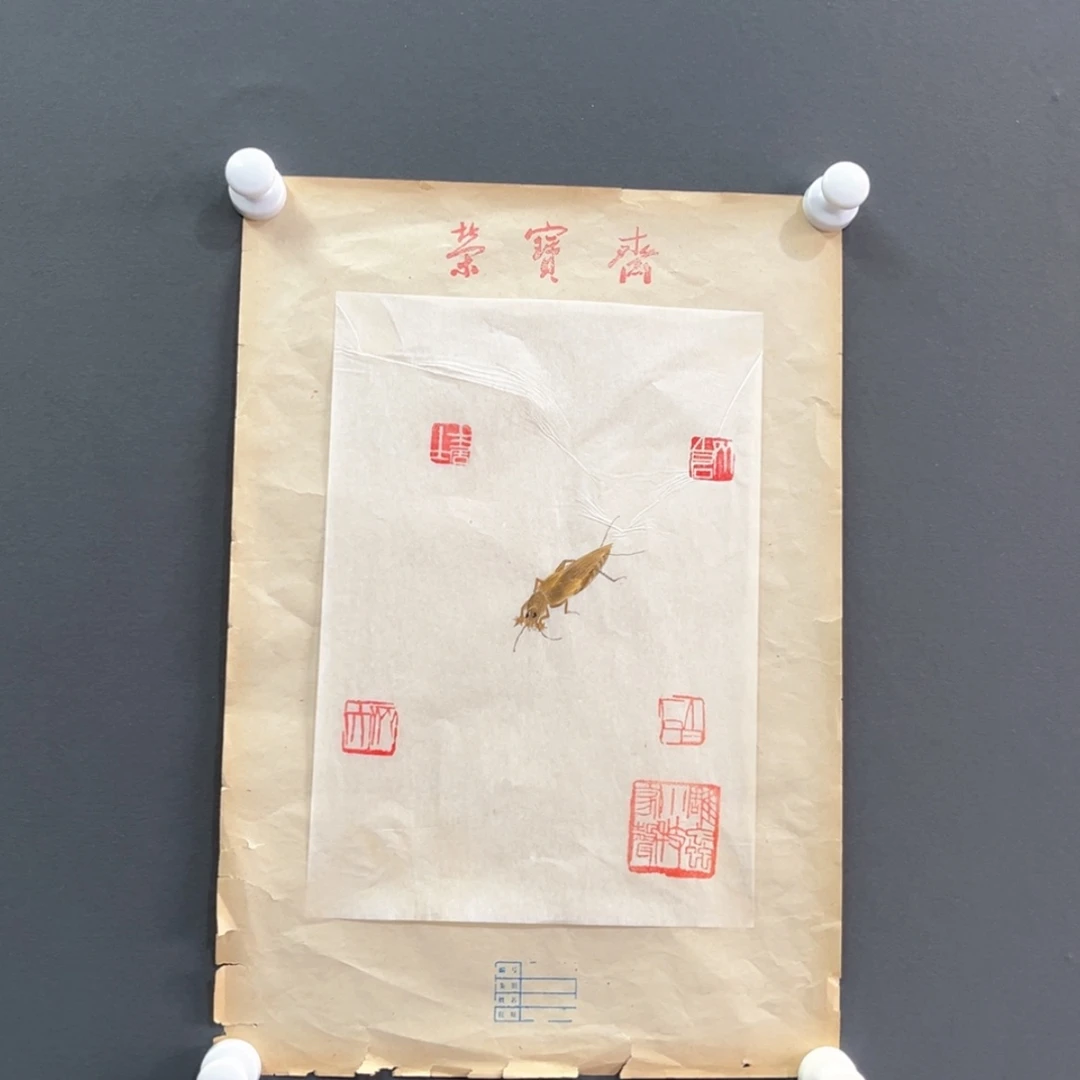 【闪购商品】书法12