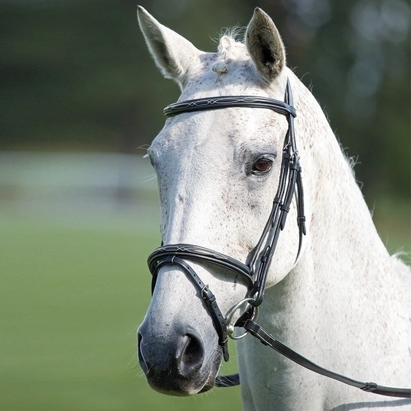 标准水勒缰 牛皮 英式 马术 马具
