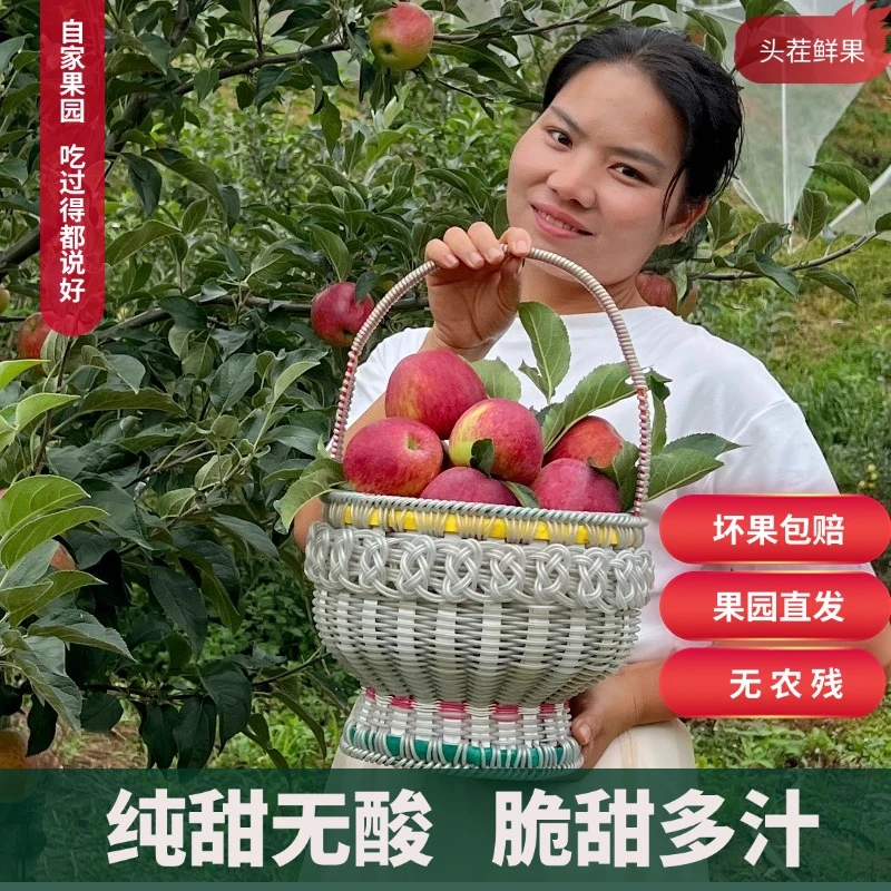 （红露中小果）云南高海拔昭通红露农家新鲜苹果糖心随缘现摘发货