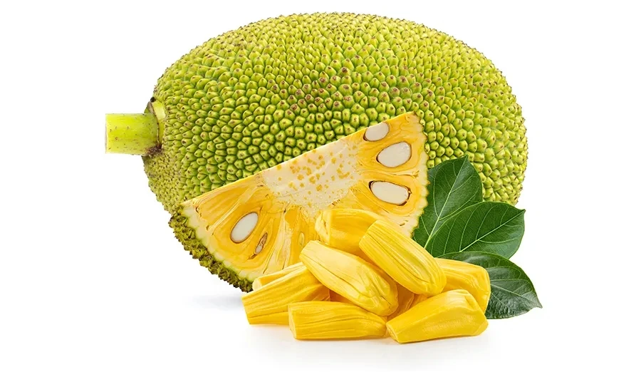 大果越南红菠萝蜜（一物一拍）