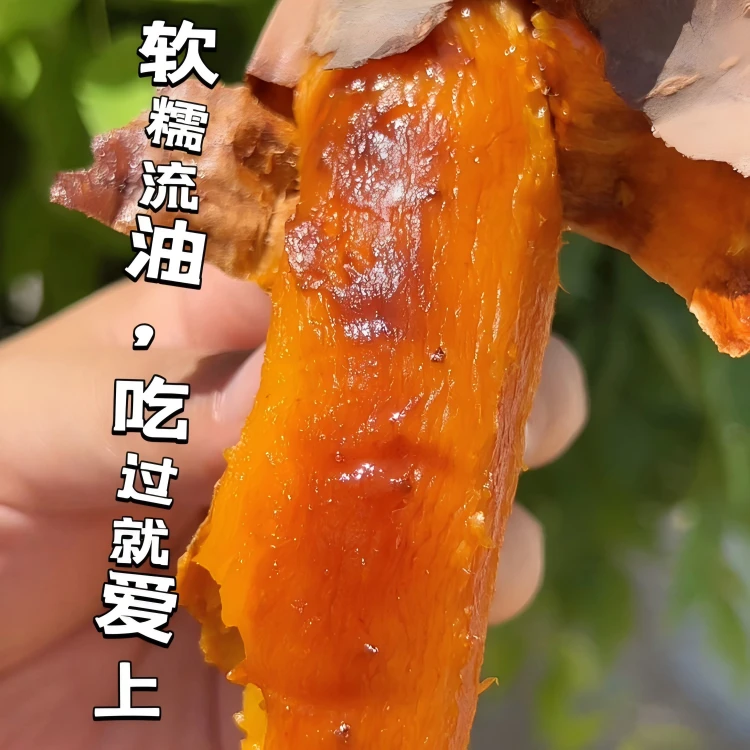 【新粉尝鲜】山东烟薯25号流油番薯新鲜糖心蜜薯清甜烤地瓜