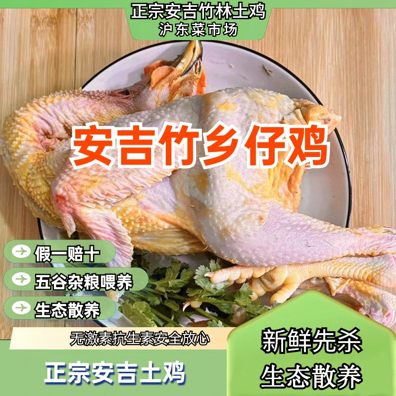 【新店福利价】正宗安吉竹林鸡仔鸡 安吉草鸡 散养土鸡新鲜现杀鲜嫩