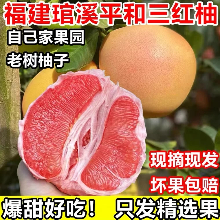 正宗福建平和红心蜜柚红肉蜂糖老树蜜柚孕妇水果清甜多汁1-10斤