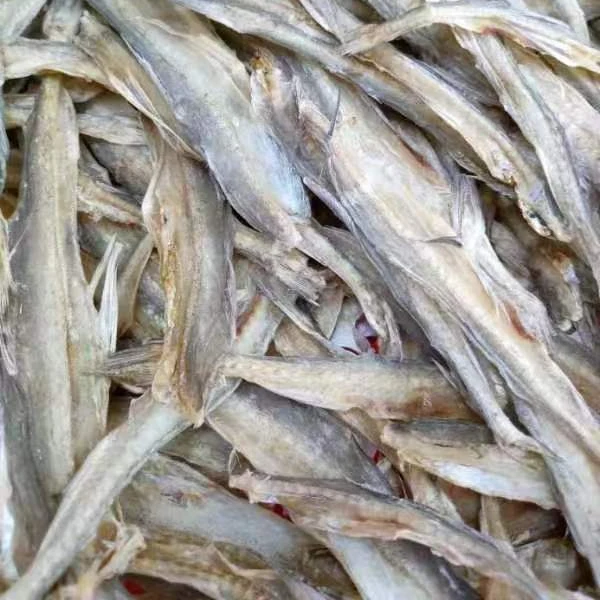 广东汕尾本港龙头鱼 仙鱼脯 豆腐鱼（全淡不咸）去头去肚