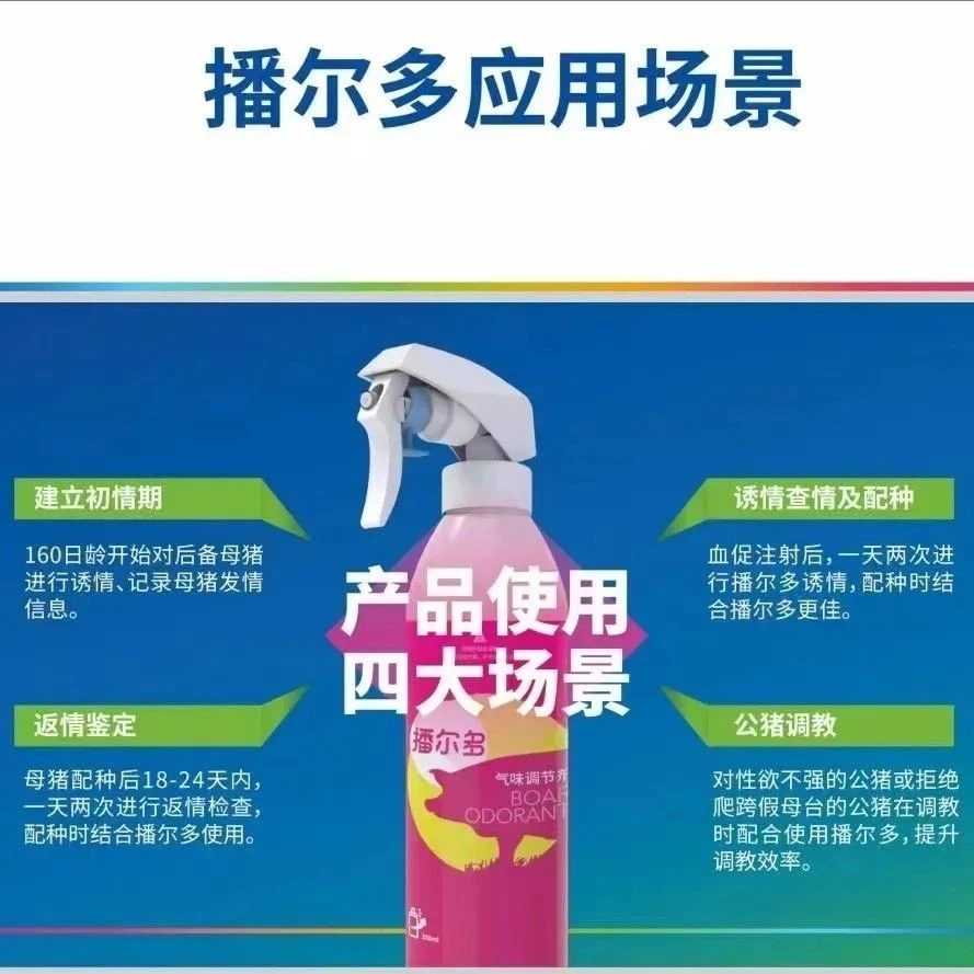 播尔多公猪气味调节剂公猪气味剂公猪不上架母猪不静立身上配方