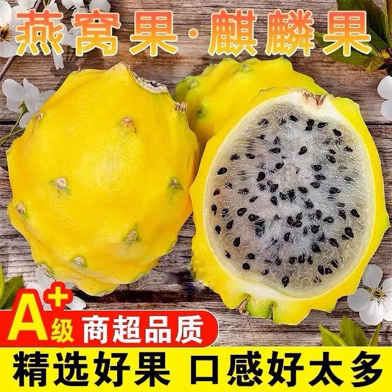 海南当季新鲜水果麒麟燕窝果1-4斤包邮 食用香甜多汁(从海南发货)