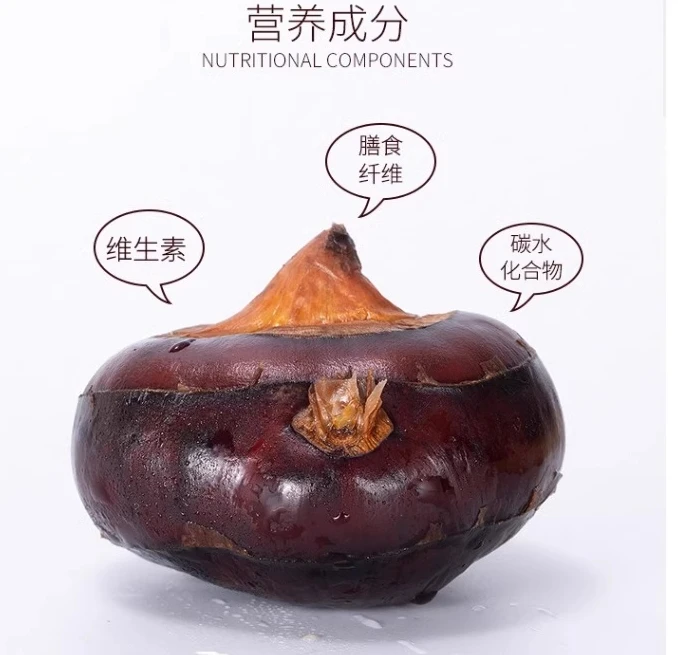 新鲜马蹄荸荠清脆马蹄大果多汁农家精选脆甜广西现挖即食3斤大果