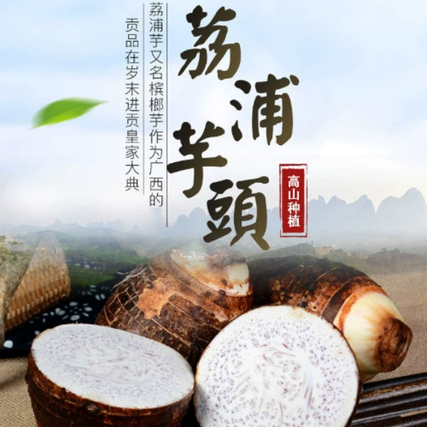 正宗荔浦芋头软糯紫色槟榔芋香芋现挖广西特产芋头新鲜带皮真空装