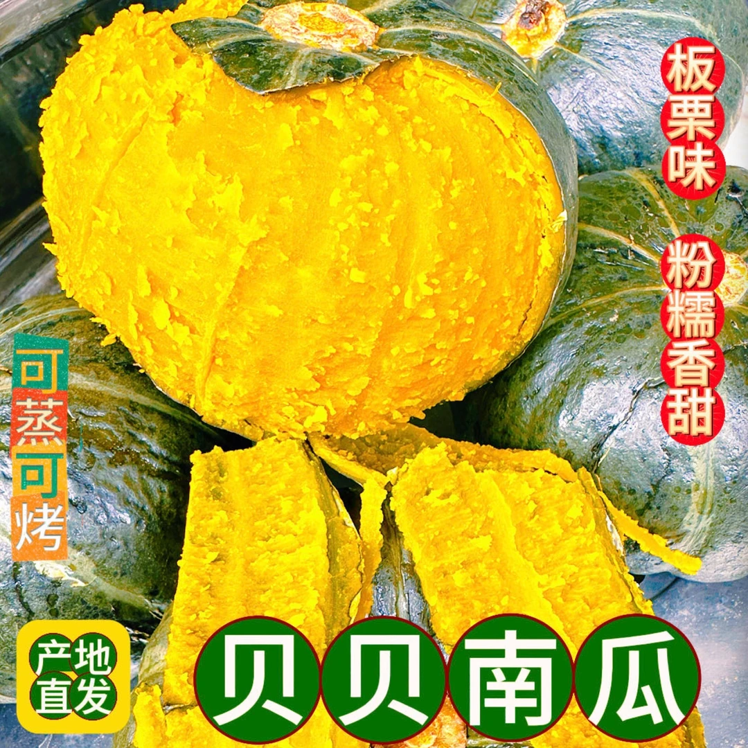 甄汇优 y山东贝贝南瓜净3-5斤板栗味粉糯香甜宝宝早餐辅食粗粮