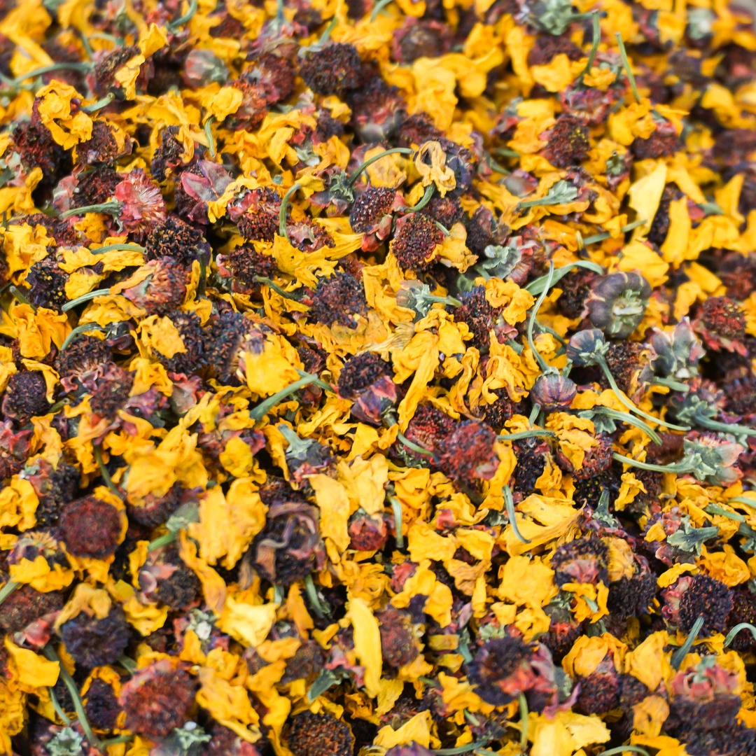 【新人粉丝福利】雪菊菌50g香格里拉高原 拍一发二 到手100g泡水