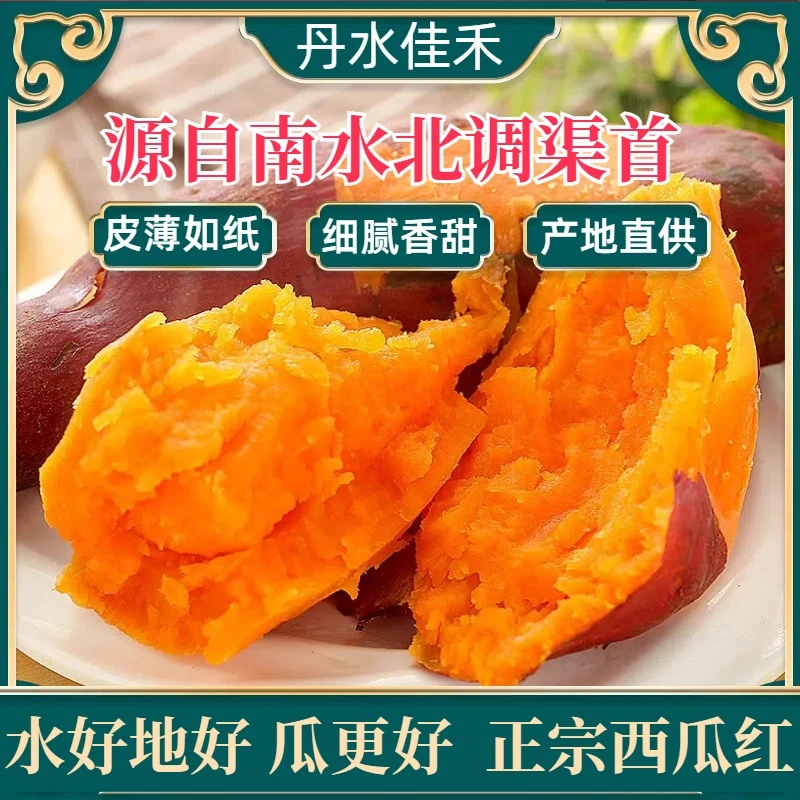 【坏果包赔】南阳渠首红薯哈密冰糖薯蜜汁烤烟薯西瓜红蜜薯新鲜现挖