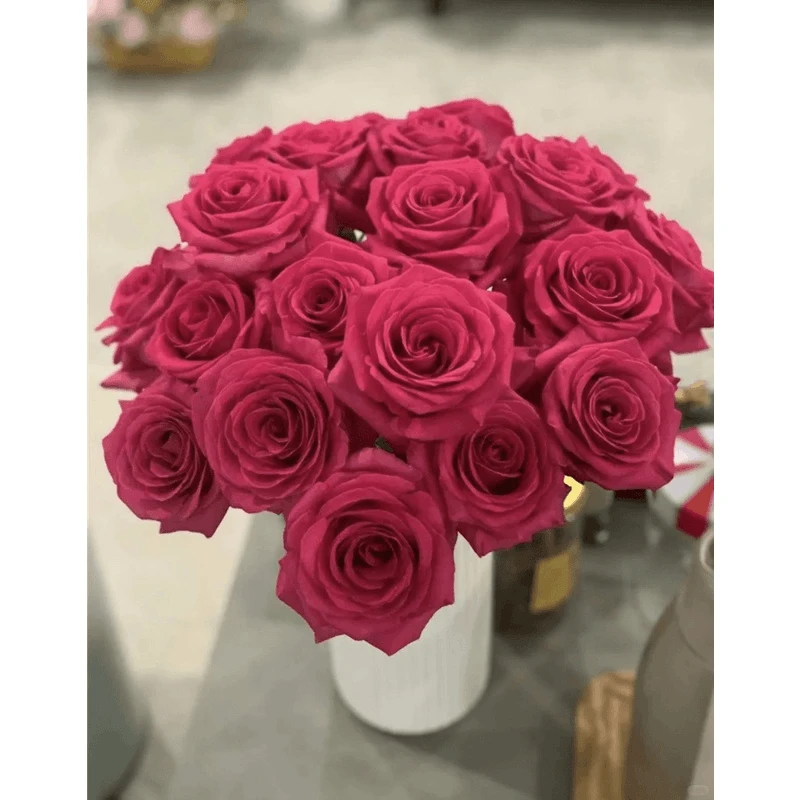【云台鲜花】弗洛伊德玫瑰 10/20枝 两单升级顺丰冷链