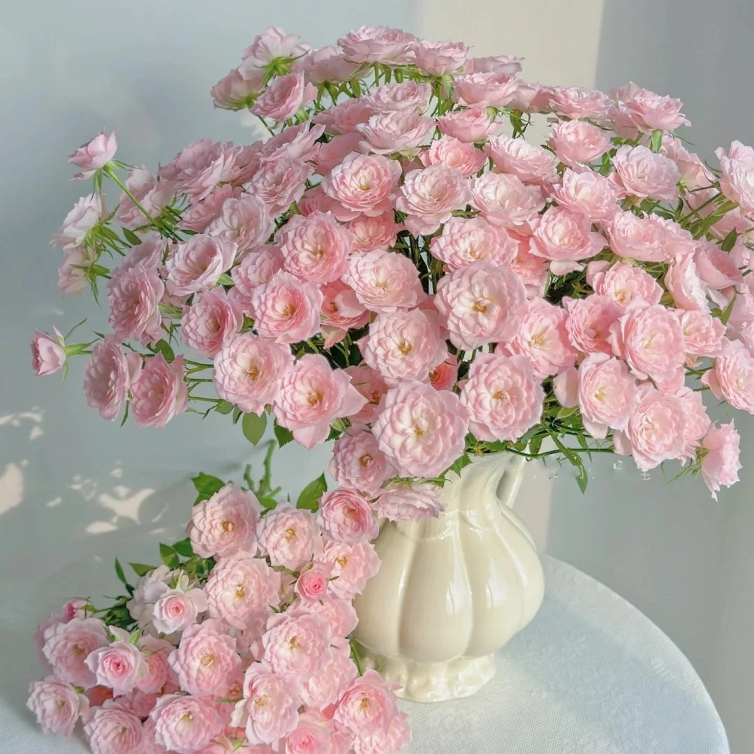 【稀有网红花】完美甜蜜 10枝  两单升级顺丰冷链/EMS空运