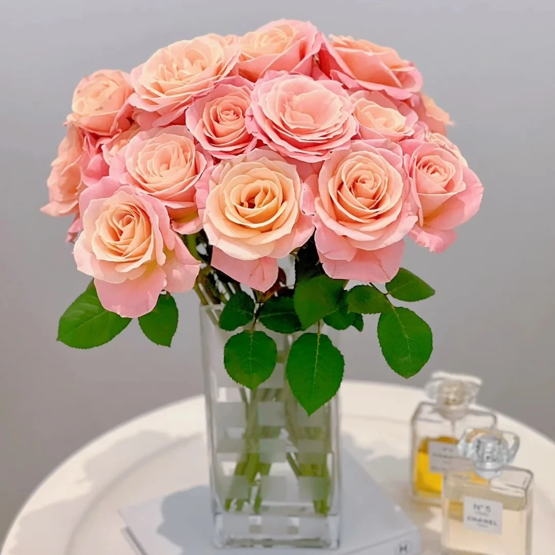 【云台花卉】朱小姐玫瑰 10/20枝 两单升级京东冷链/EMS空运