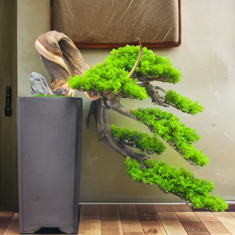 千汇花艺手作收藏级太行陈化崖柏仿真迎客松盆景假树摆件