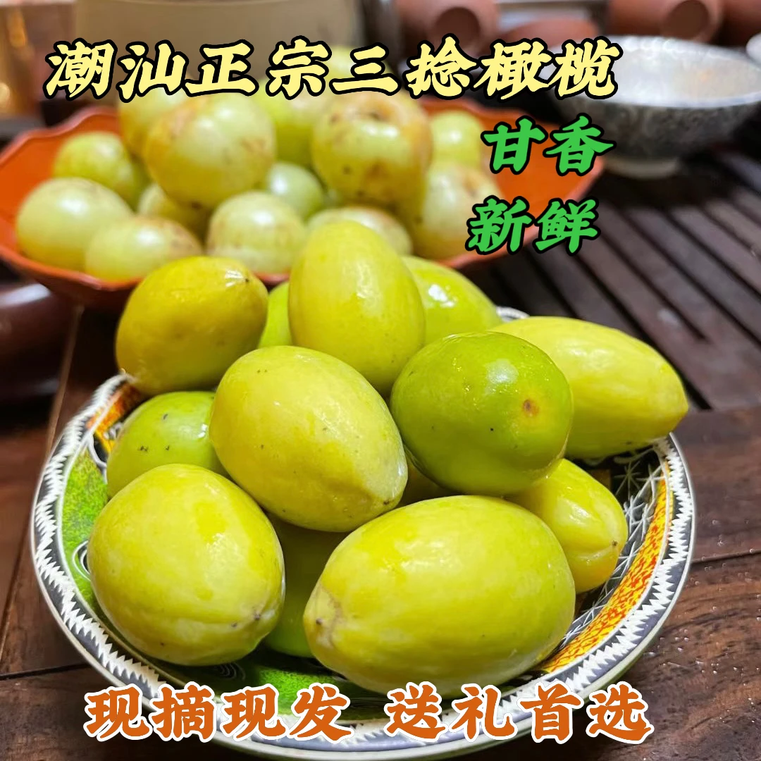 潮汕霞姐 金灶特产三捻橄榄 新鲜水果生吃回甘香 两斤礼盒装