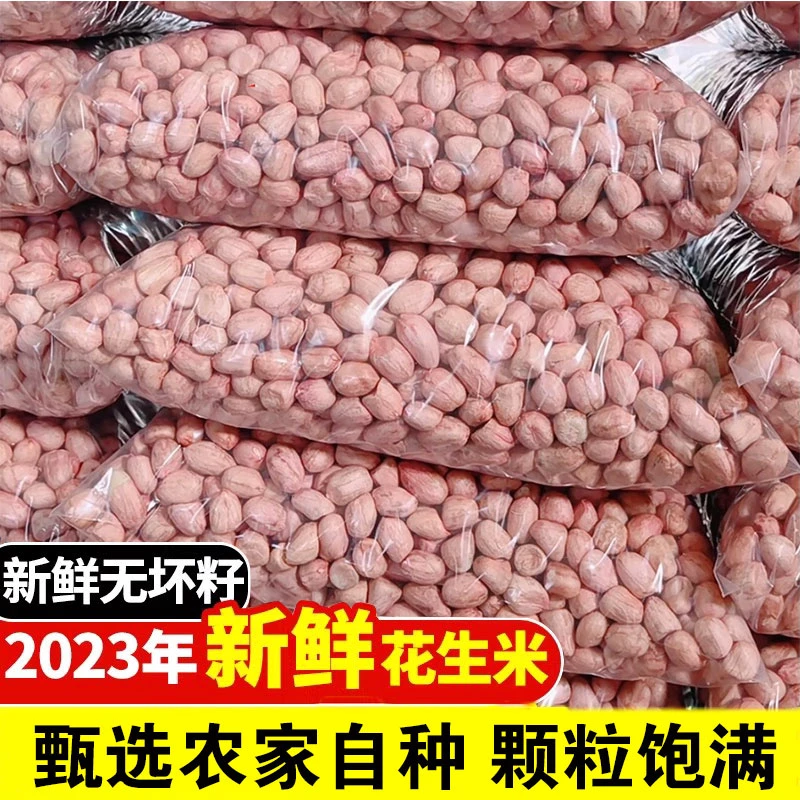 花生米500g新鲜干货营养饱满特产现剥无壳花生100g白沙花生食材
