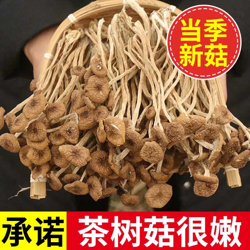 干货茶树菇250g农家特产新鲜茶树菇产地直销煲汤鲜嫩菌菇炖汤食材