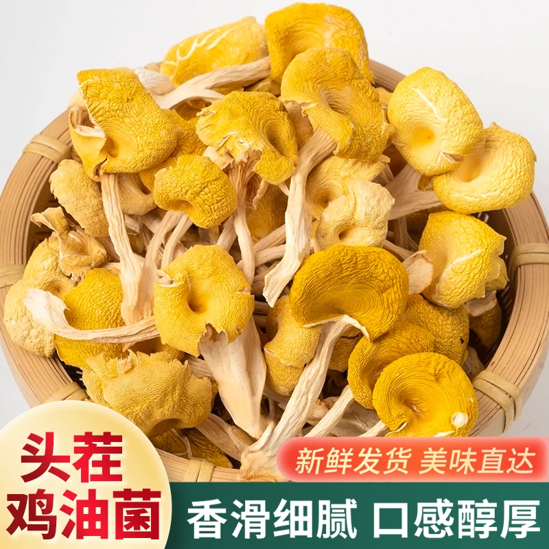 农家鸡油菌新鲜干货 特产鸡蛋黄菌食用菌排骨汤炖鸡蘑菇香菇煲汤