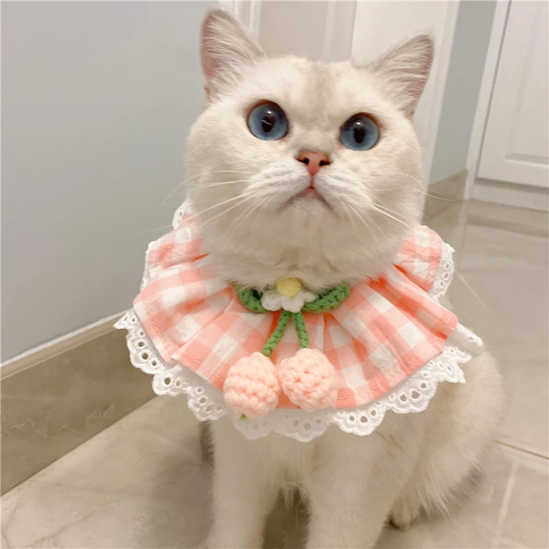 宠物格子围脖猫咪草莓樱桃项圈公主蕾丝狗狗口水巾凹造型拍照仙女