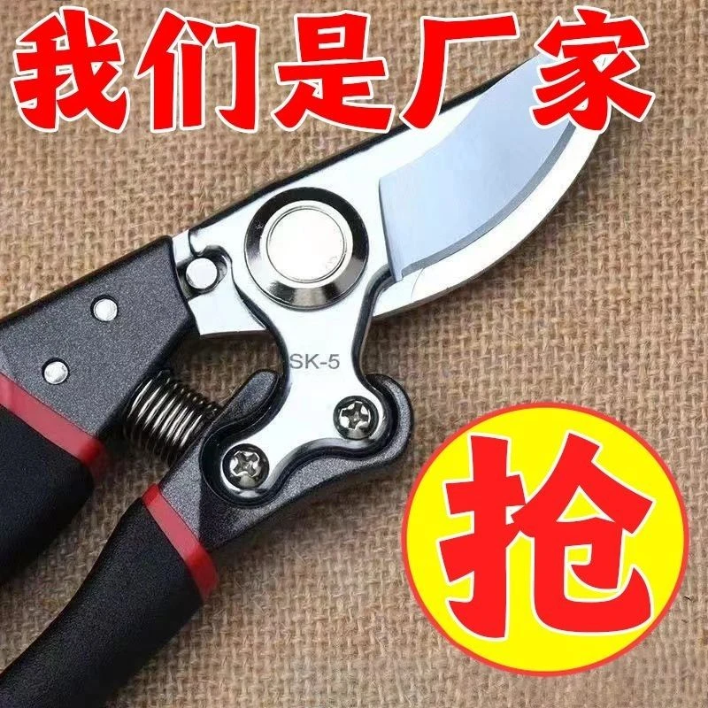 贸易品质进口钢剪树剪子果树剪修枝剪刀家用园艺剪刀花木葡萄修剪