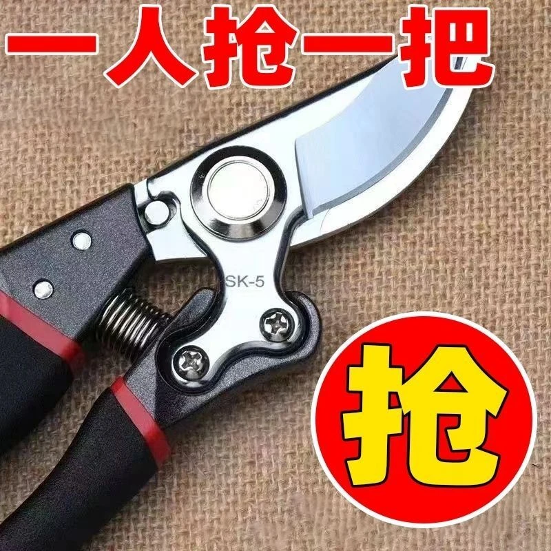 果树剪修枝剪刀钢剪树剪子家用花木葡萄修剪镐斧镐斧镐斧SK5钢