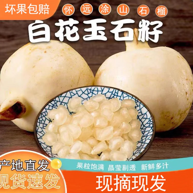 【进选好物】怀远石榴白花玉石籽含箱10斤装净重9斤