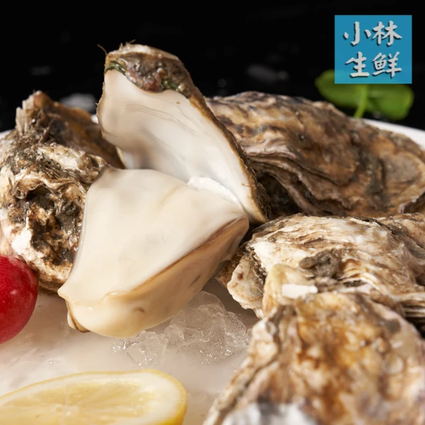 福利鲜活生蚝鲜活3+4+饱满到手5斤 京东包邮