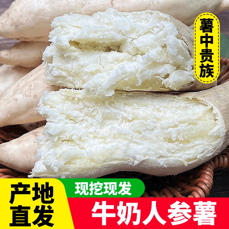 【不粉包赔】巴马人参薯新鲜现挖白心红薯粉糯香甜宝宝辅食放心拍