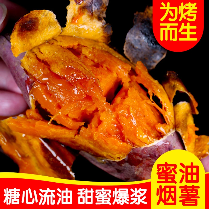 烟薯25号蜜薯糖心红薯烤地瓜4.5斤番薯山东农科院农产品水果直播