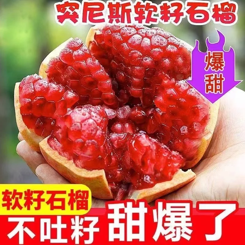 正宗突尼斯软籽石榴包邮孕妇水果红甜石榴四川会理当季整箱水果