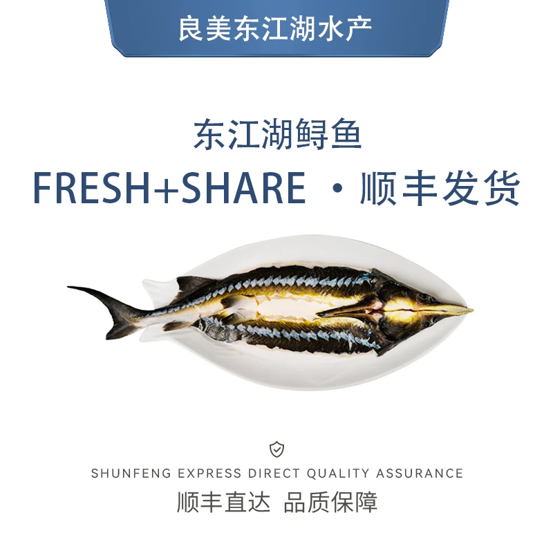 良美东江湖【东江湖优选】新鲜开背鱼通体软骨无刺一物一拍