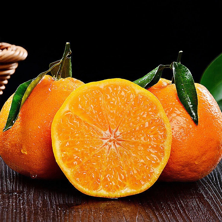 【花语果】喜橘耙耙柑一件四川省
