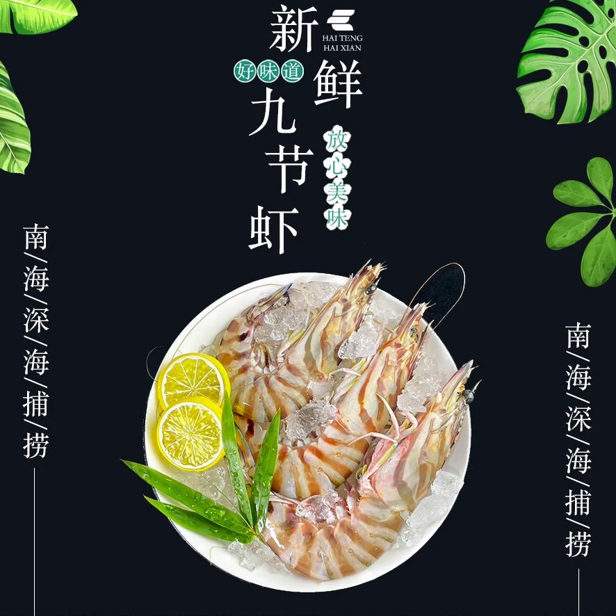 汕头海门本港纯野生竹节虾 班节虾 九节虾 南海深海捕捞 保证新鲜
