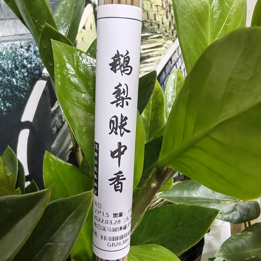 【鹅梨帐中香10克体验装】清凉带花蜜 甜味
